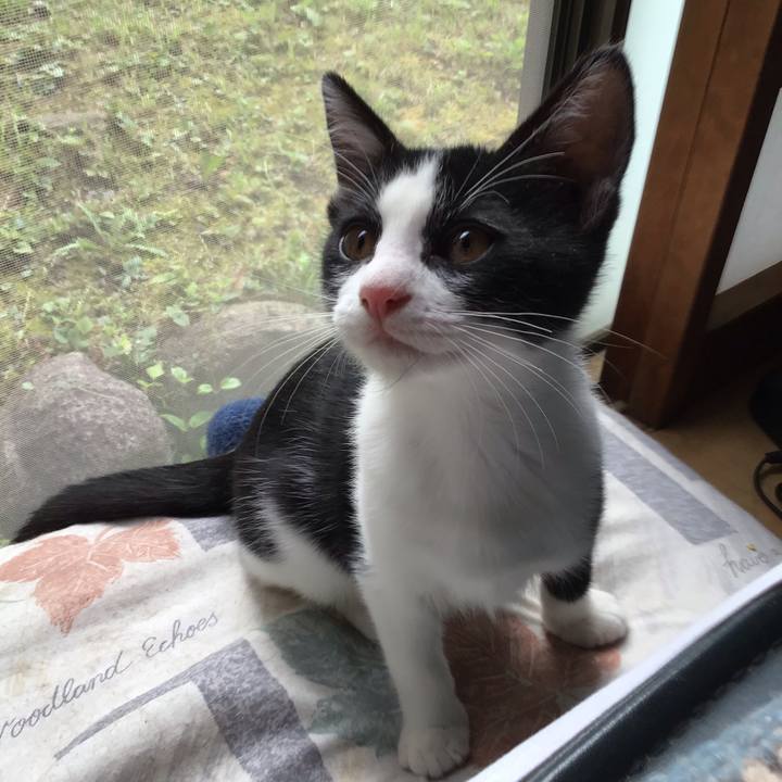 E70730a5 a2bb 48a9 b5ea 4d46980e0a6a 1626393393023