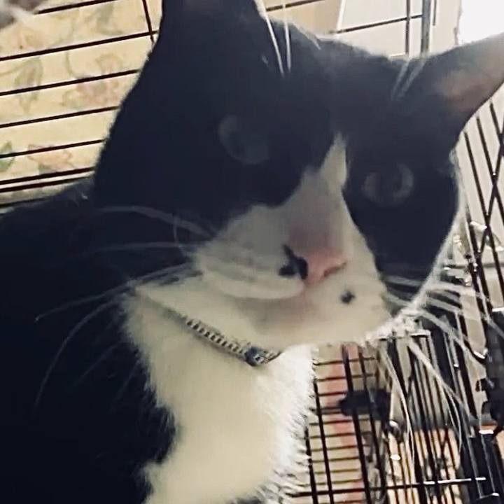 E7075dac 45f6 4a17 8ec3 21188a80a0b4 1735473684097