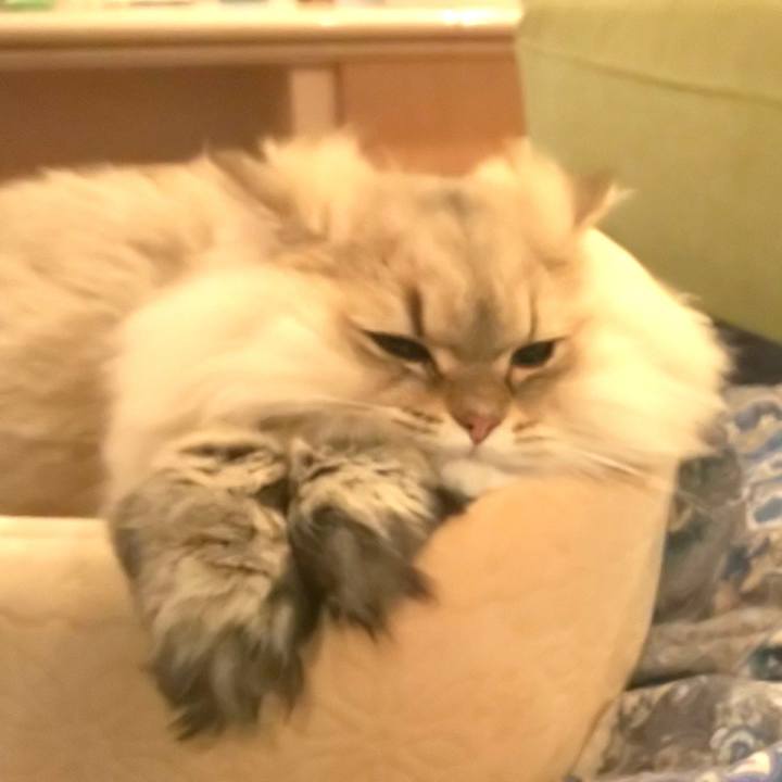 E7077fbe 7658 45b3 b693 6eaa8c10f856 1576032092301