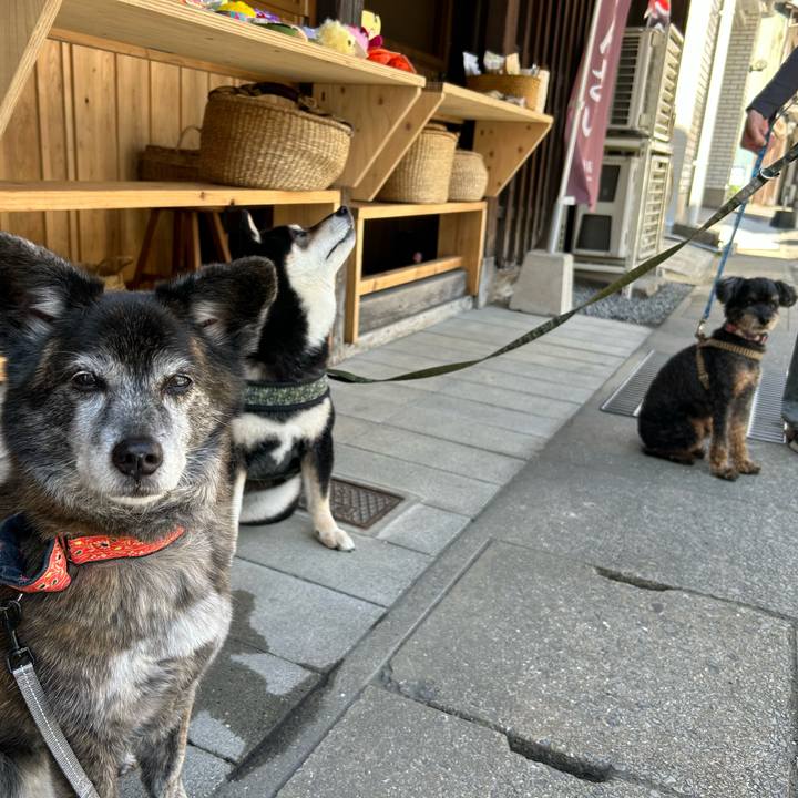 E707dff0 c389 4361 b37d 95680ca1d939 1747000411200