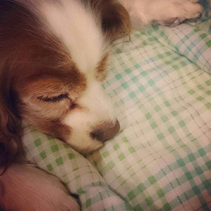 E7083084 66f2 498c 81c5 093e3db8931d 1512638793590