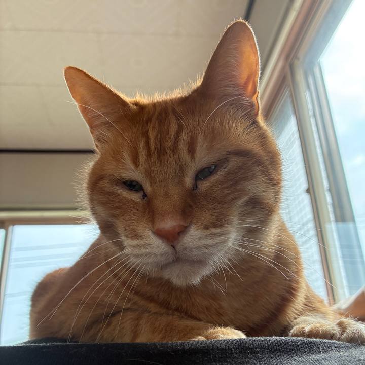 E70832e4 38b2 4c06 ba94 a3bc1e09e238 1747171440425