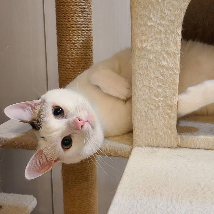 E70880a4 bd80 408c b515 d364ebf468f7 1656248541299