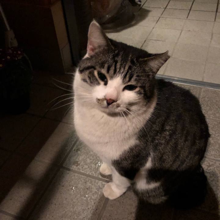 E708b49d f971 4bb4 92c6 ba644f51b380 1521812674245