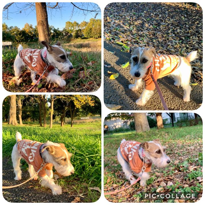 E708ef4b 6dbe 4af9 b2be ee46f86b8ea3 1604912260681