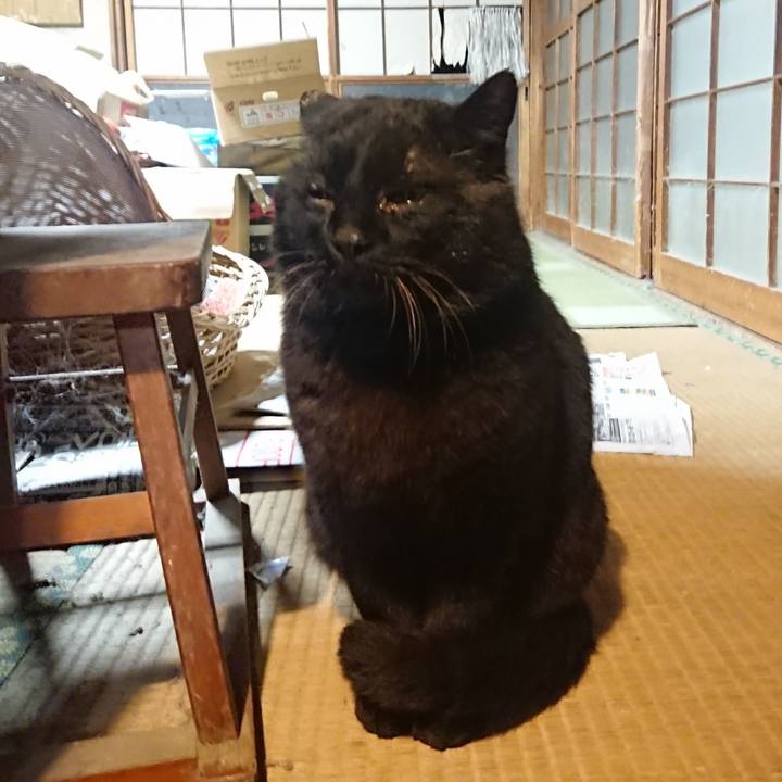 E708ff3b 868c 43ff 8465 8d418fa52c39 1616840359481