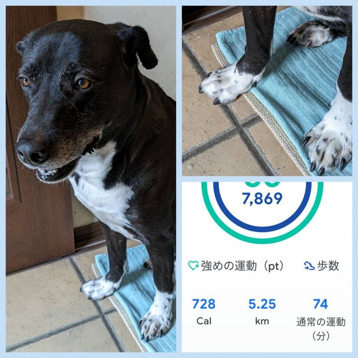 E7090cb5 d0a1 454e 8f68 1de21cc033c0 1715650597801