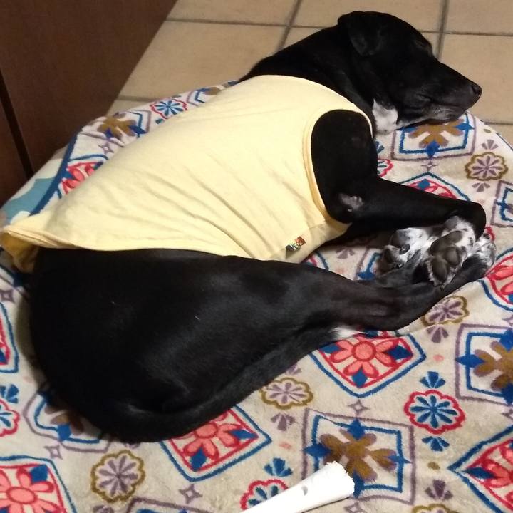 E7090ee2 f42f 47ce b9e4 f5fd9ca853eb 1611674246041