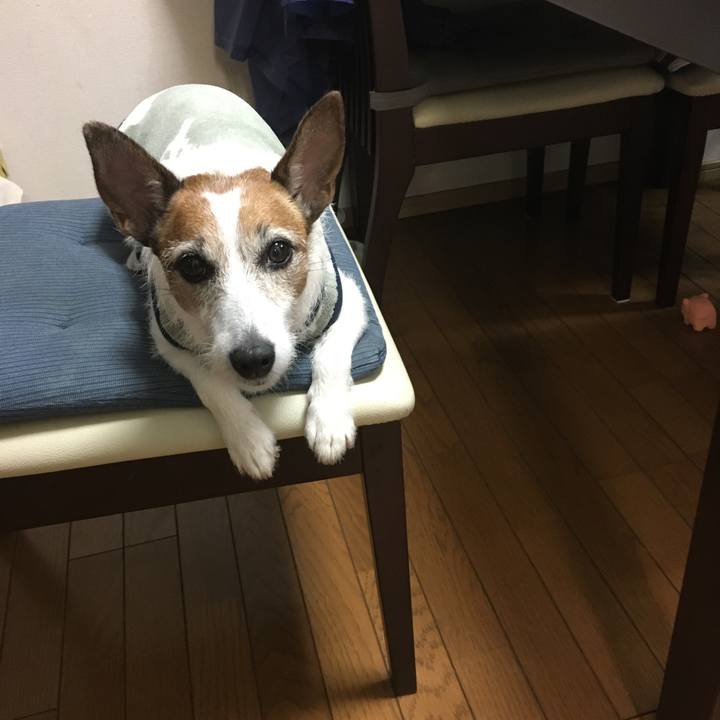 E7091103 a695 48e5 ae39 6e763bc982ad 1603408943441