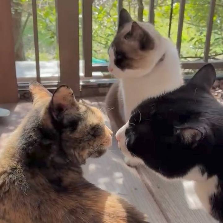 E709845e 911f 4b15 bf3f a1146582ab49 1774013393211