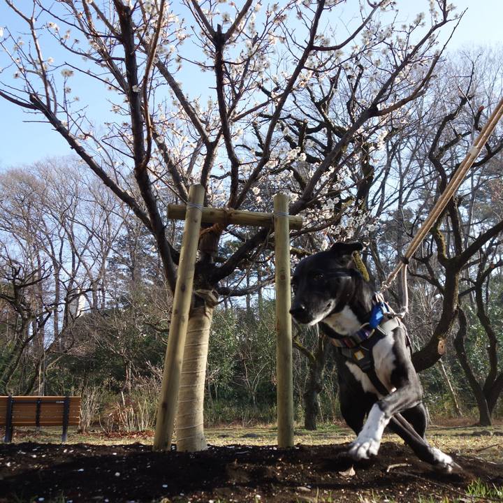 E7098e92 0575 4402 85ab 094d2a812e04 1647218367569