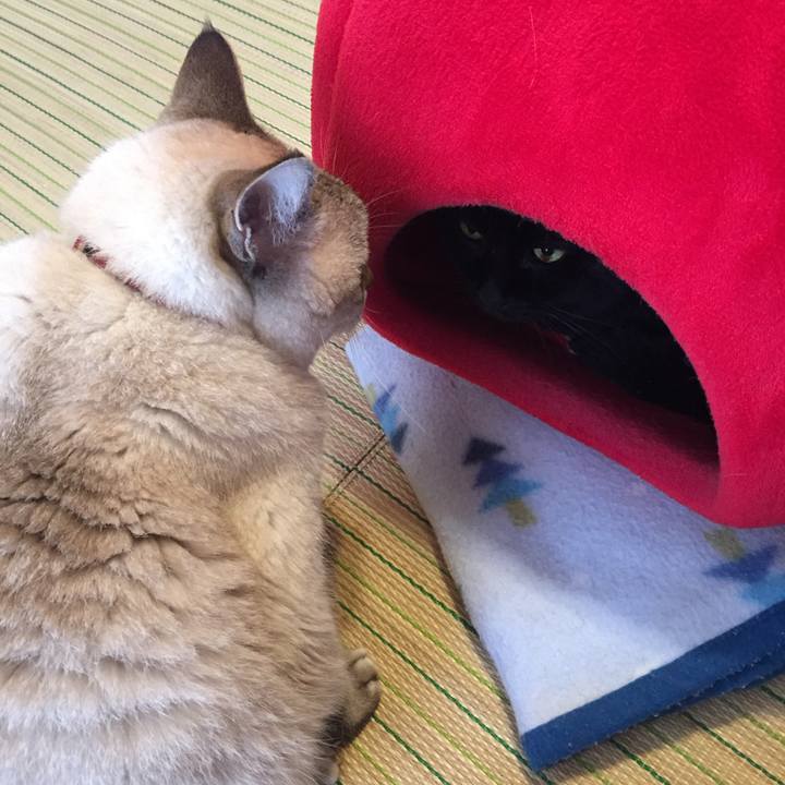 E70996e9 a1a3 455a 9c06 0ed9d353133a 1538346676009