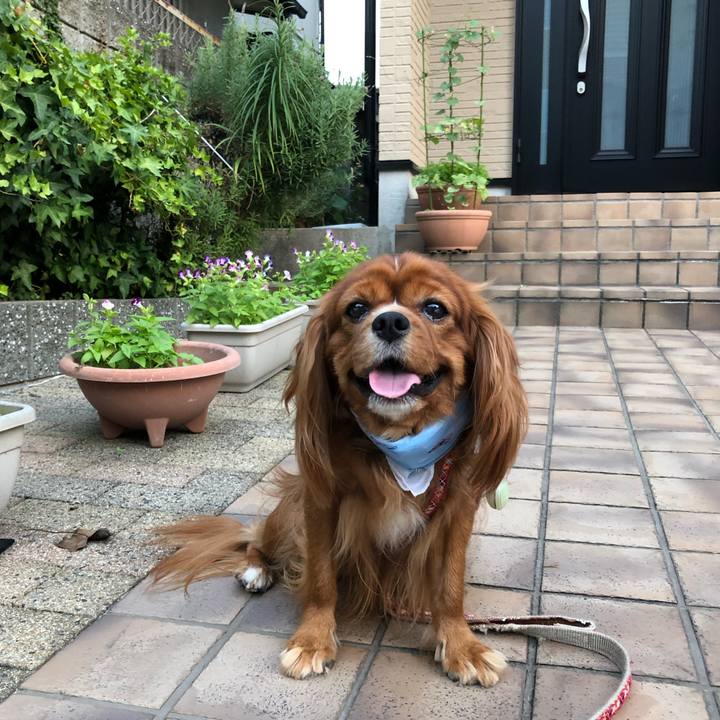 E709c421 be44 44aa 8182 b03f243b834e 1598179046337