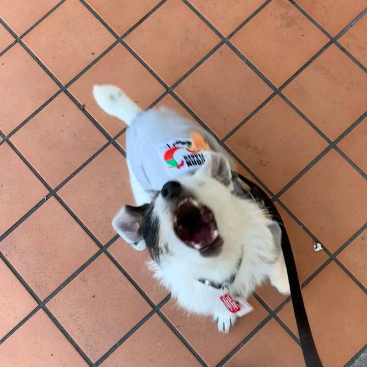 E709c462 c2f6 456d 9c8f bee80ab3b839 1684223223812