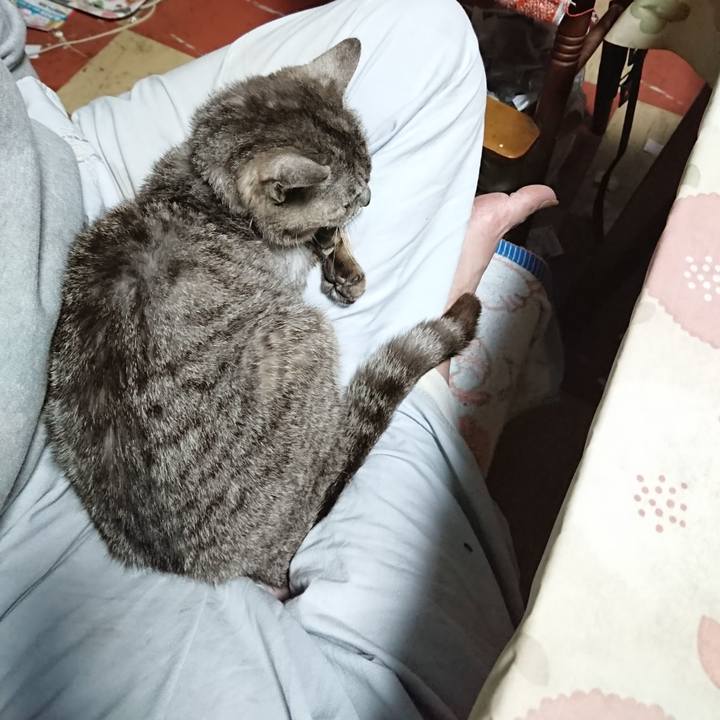 E709d552 374d 425f bbba e3b559bdd389 1592680894065