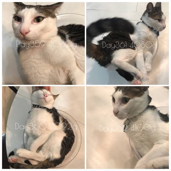 E70a22c6 7a88 4ba9 aeea da1bb10e306e 1523799491117