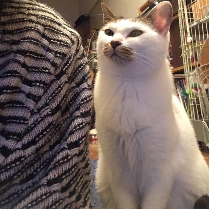 E70a2f1a d4b4 4324 afd1 d5620c5619b1 1576834773800