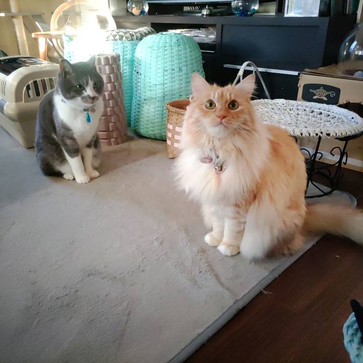 E70a643a 1975 482c 9599 fd0b36bd7e89 1680302764965