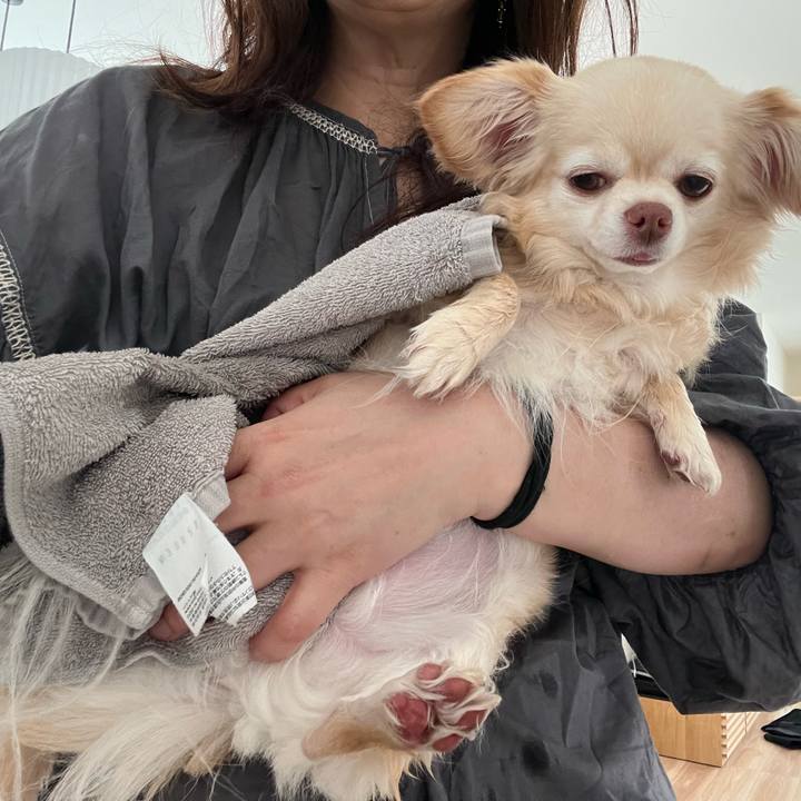 E70a781b f8f4 48de 86f0 6de3d667c838 1747133400096