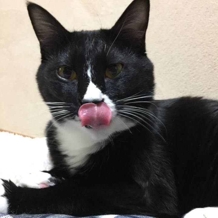 E70a8e41 32a6 4b30 b5be 29b5c9169e66 1513685890682