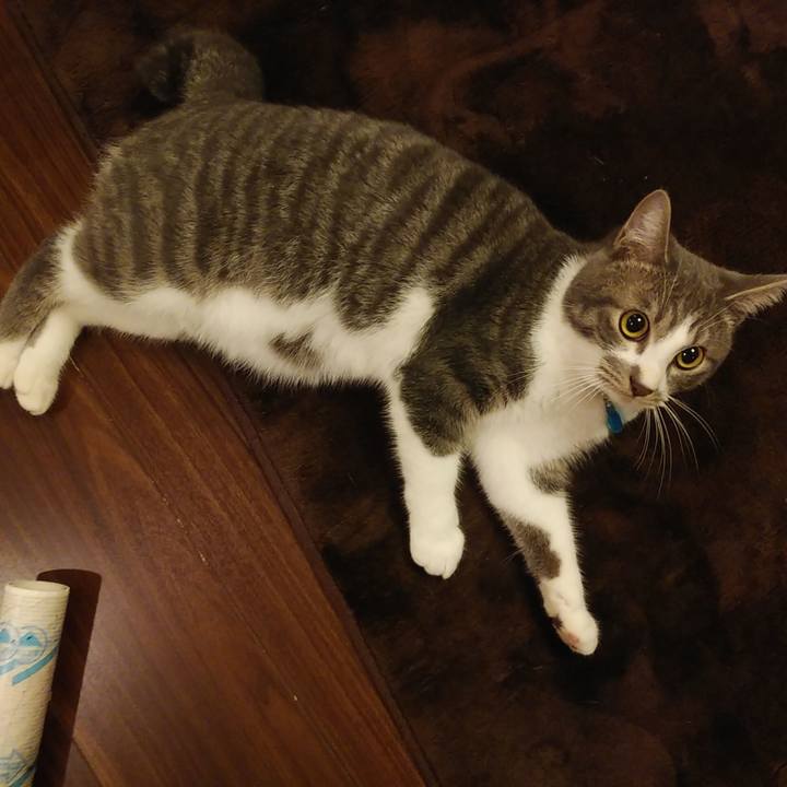 E70aace9 f58b 4370 8a1f a514ed711e4e 1577801546833