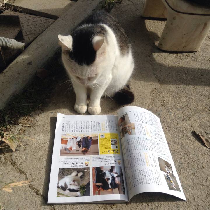 E70ad1b7 fdb5 476b be99 61e480bee15a 1546493124084