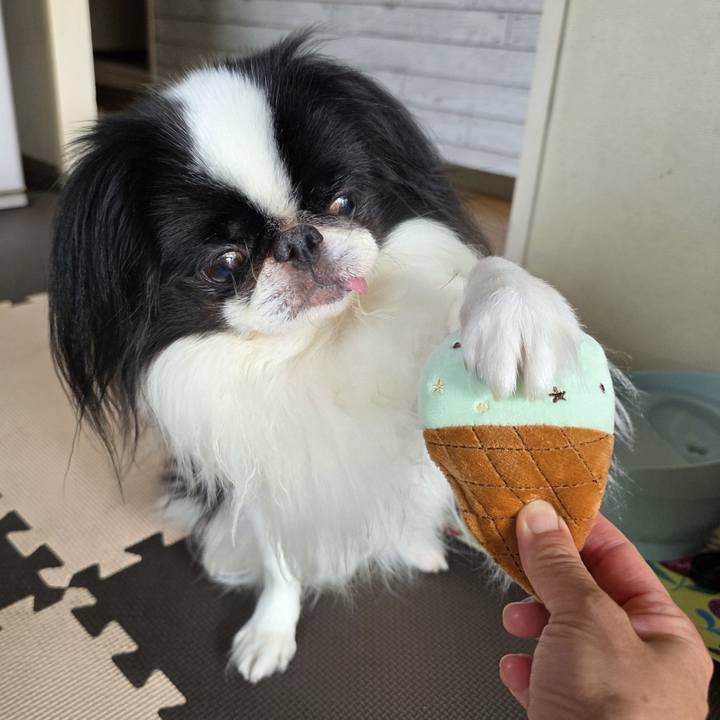 E70ad92e 9d0e 420c a68b c298a568b8e1 1760527192276