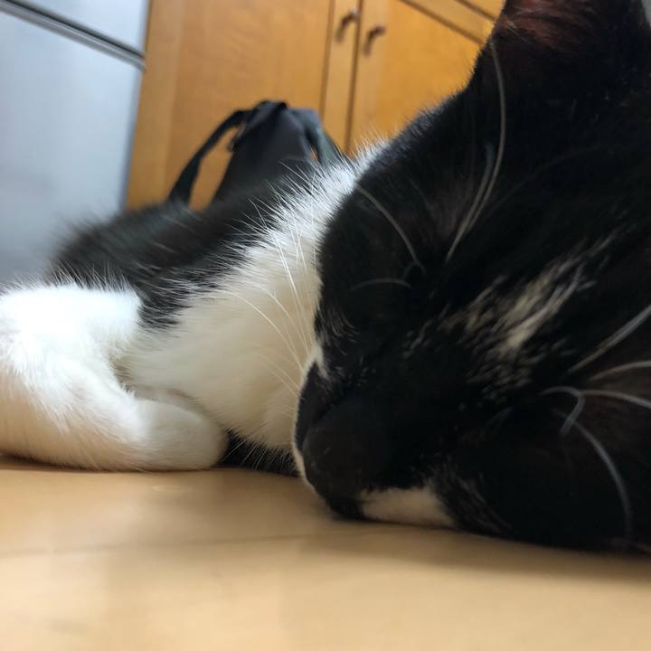 E70ade35 6199 40b0 bc8d 2898011587bc 1545631373909