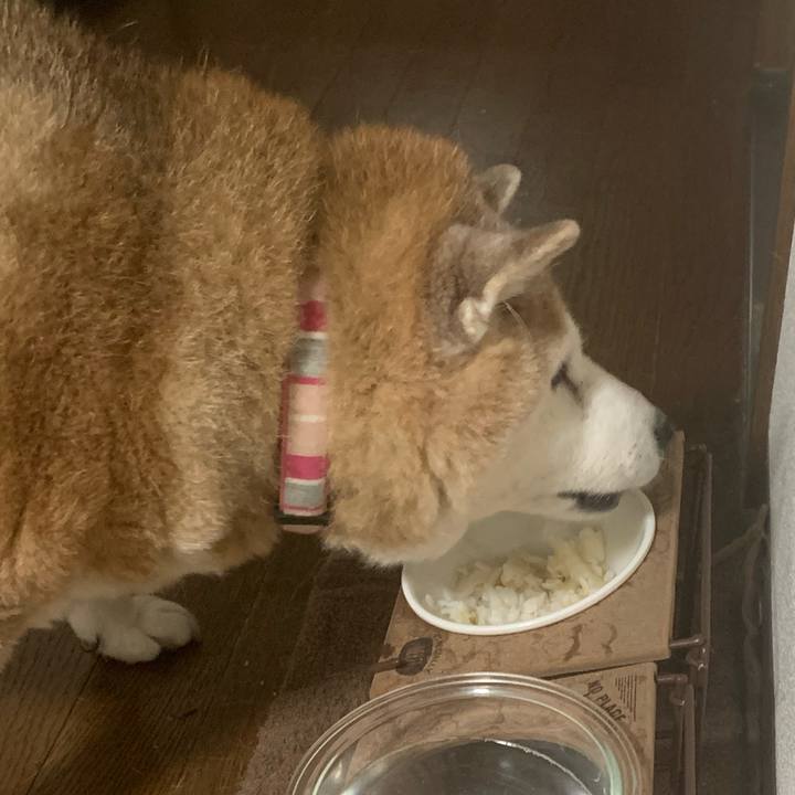 E70af0b2 c301 4dfa aeb3 42786183a02b 1640866728164