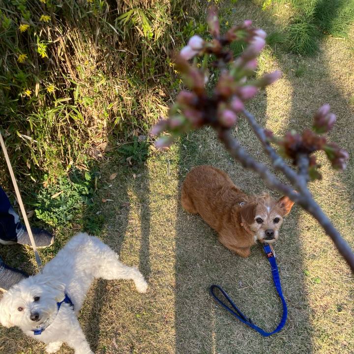 E70b2227 22ca 46f0 8b75 a14793365540 1679306622385