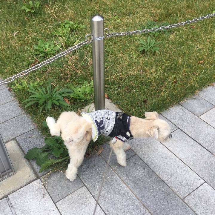 E70b2555 6083 4d70 9db5 f4216d393e6b 1541670955641