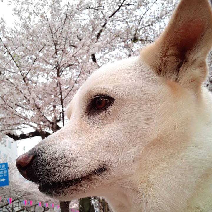 E70b5310 9fdf 47fc 9744 70851a625821 1679875269953