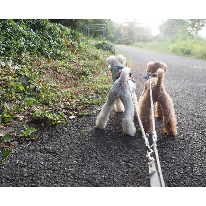 E70b5bbb 478d 4fc9 83a6 dd938fa9025d 1566406796137