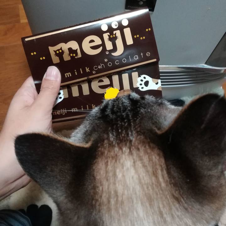 E70b5c6b f048 40c4 8eb3 be20ad8f3d2f 1580991810418