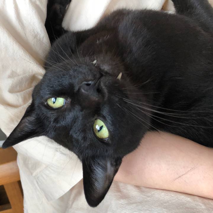 E70b75d5 7499 4949 90a8 c7c8295b5819 1726366041675