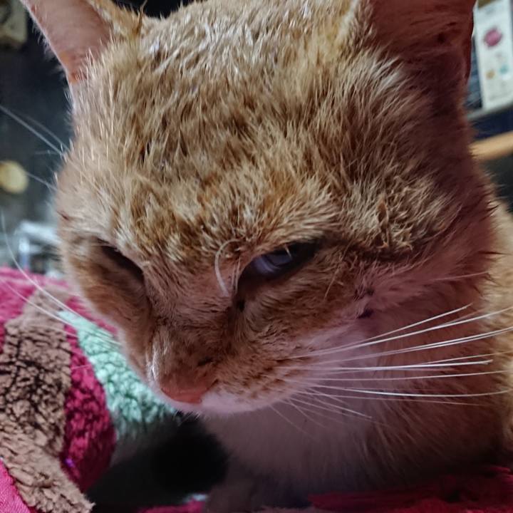 E70c1f2b bfc5 46b7 844c c5cc95342e44 1554499818228