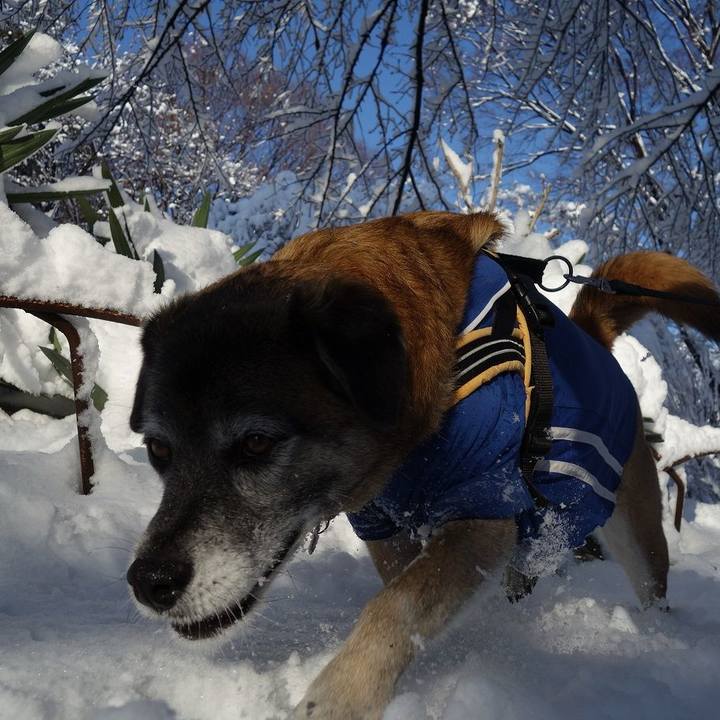 E70c303c 78bc 436f a1e6 4cbee29803e1 1516671924417