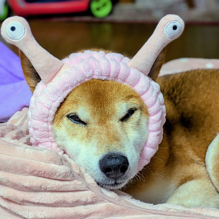 E70ca3b9 7138 4ea7 bd5c 9607d0032e7a 1746853398713