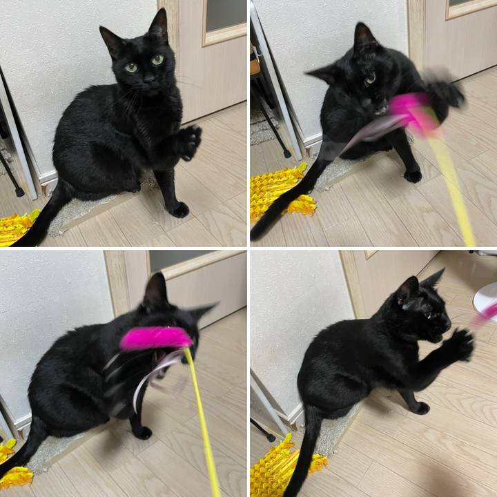 E70caae3 6920 4d7c 9008 e1a51695a080 1751460786302