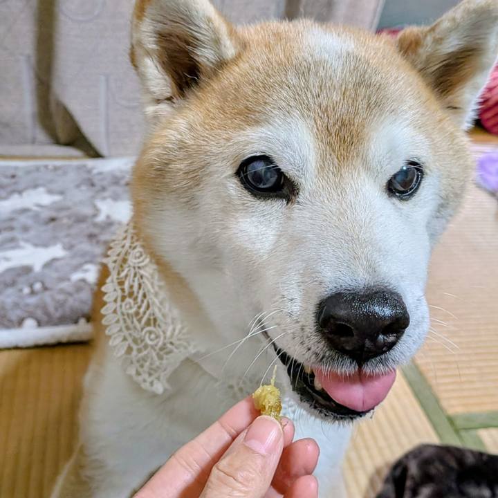 E70cc02f 8aca 40b4 9566 45826f8a6d80 1764164002199