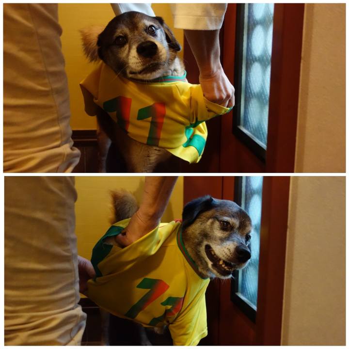 E70cc55b 0129 4402 b0d3 f0b73567d854 1673490472285