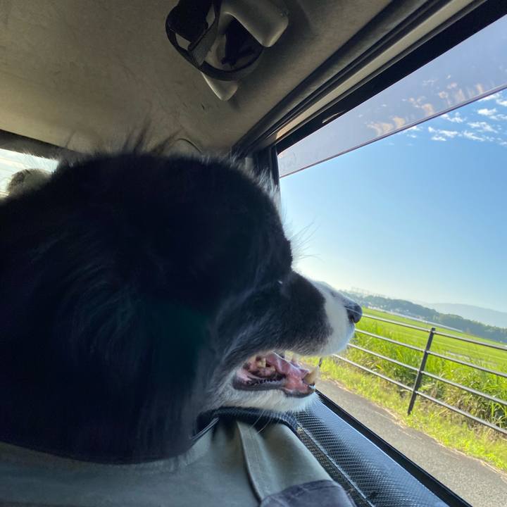 E70d14af 3794 489c bb5a 8d059bea5520 1689544333144