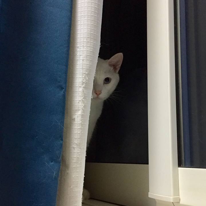 E70d1830 2a12 42ef 8a0d d63eb3d63127 1510137083000