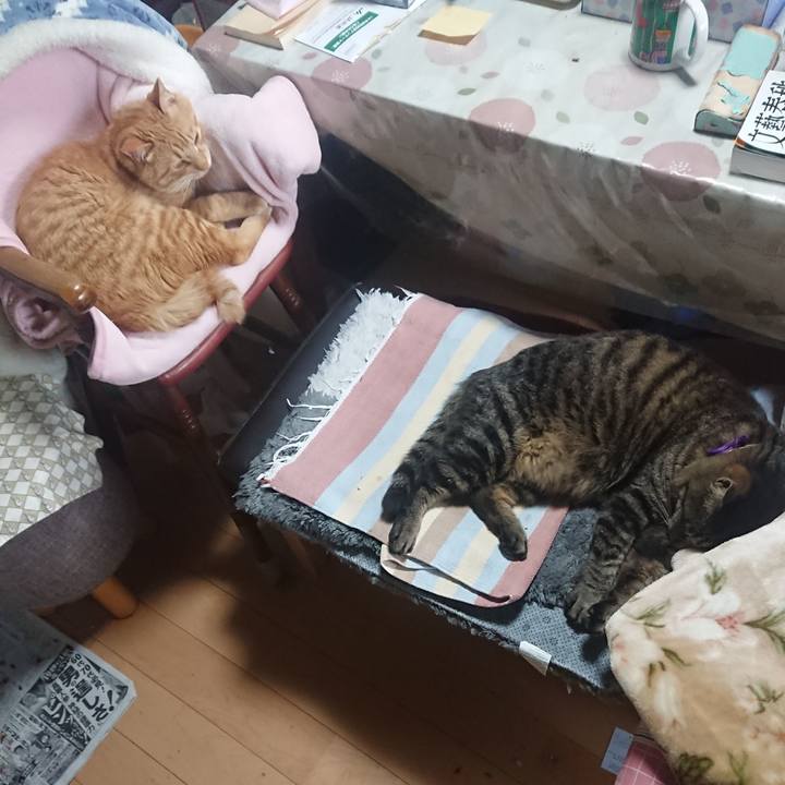 E70d1dbc 656b 449f 95ff c54d6e12c2b5 1651323350800