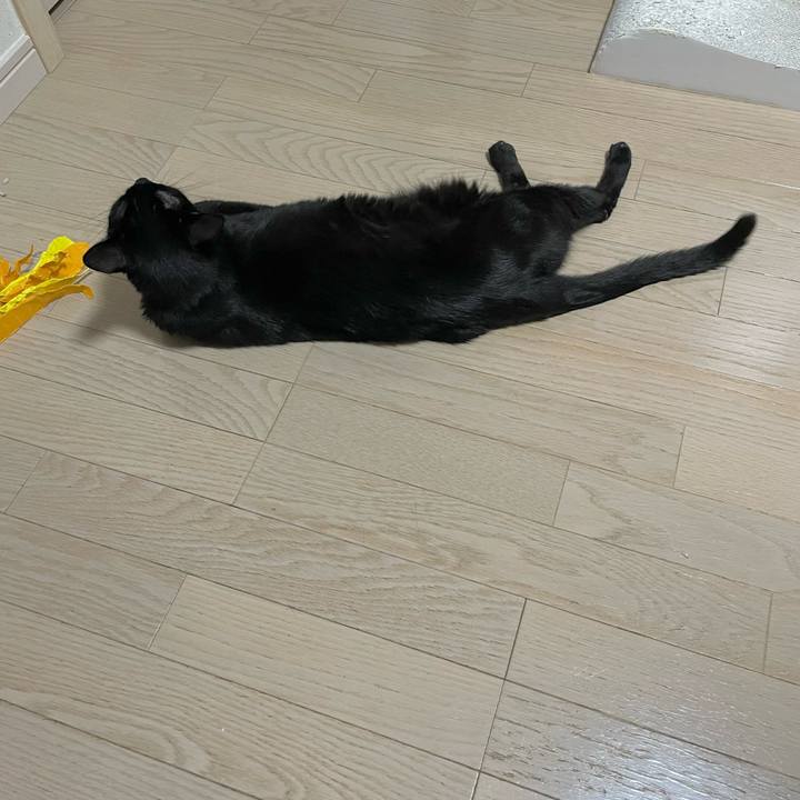 E70d38a5 e615 4c35 a961 9de64c581508 1721136734468