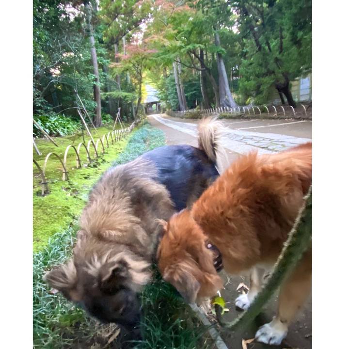 E70d4414 adfb 4c5c 9928 f2d7980ac640 1763727000847