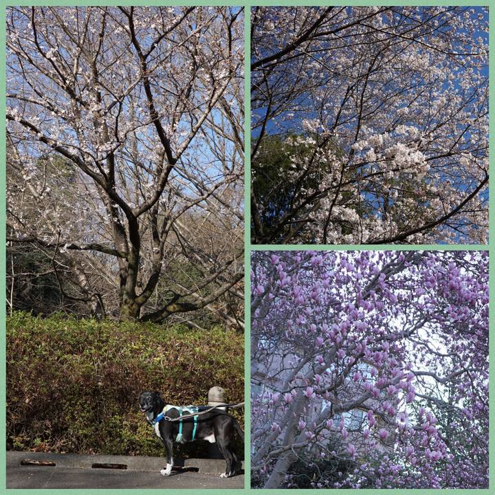 E70d51d5 42d1 4073 9f6d 4fb8ed9c0512 1774316682997