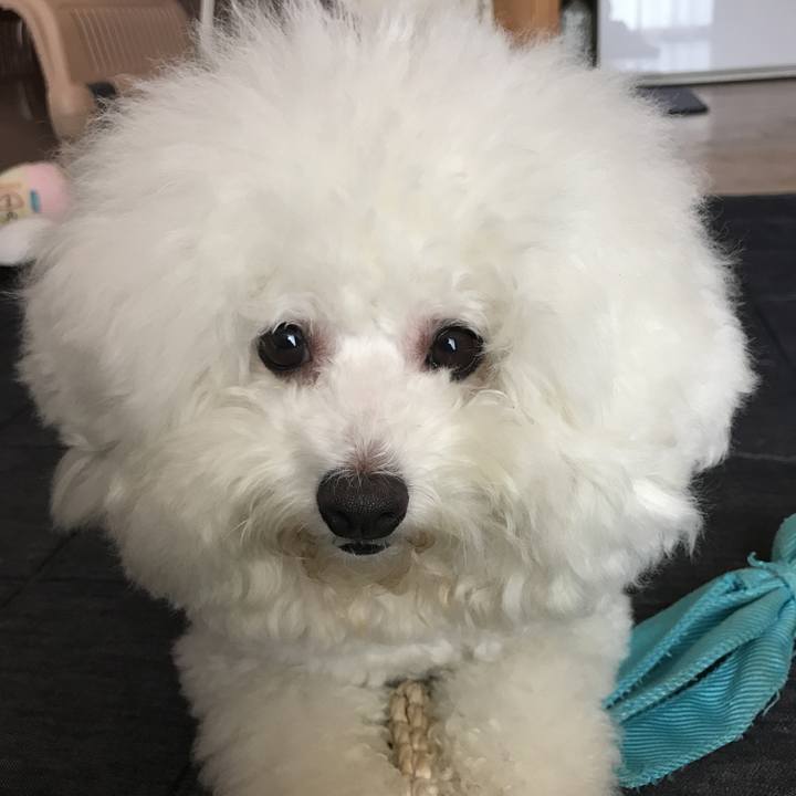 E70d5dc1 423a 42a8 88ee 308d89ea28b4 1533268241156