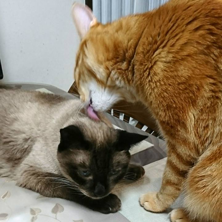 E70d9357 7fe0 4320 a9dd 61b67425fafe 1533157974595