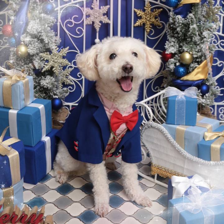 E70da1ae c348 4de2 8c88 c92fc1317e22 1640162692842